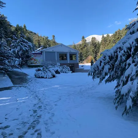 Eco Olympus With Sauna And Swimming Pool *