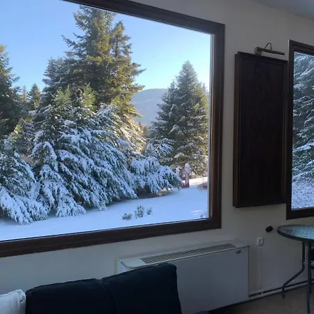 Eco Olympus With Sauna And Swimming Pool Villa *