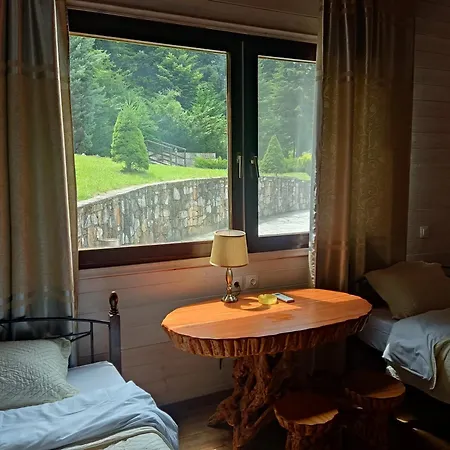 Eco Olympus With Sauna And Swimming Pool Villa