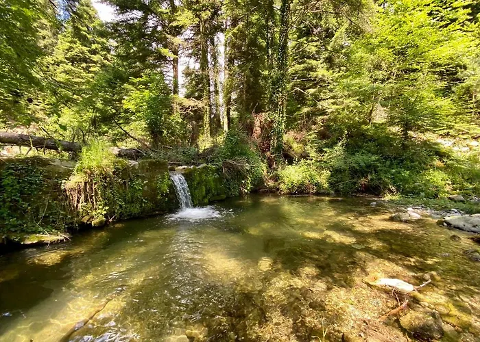 Vila Eco Olympus With Sauna And Swimming Pool *