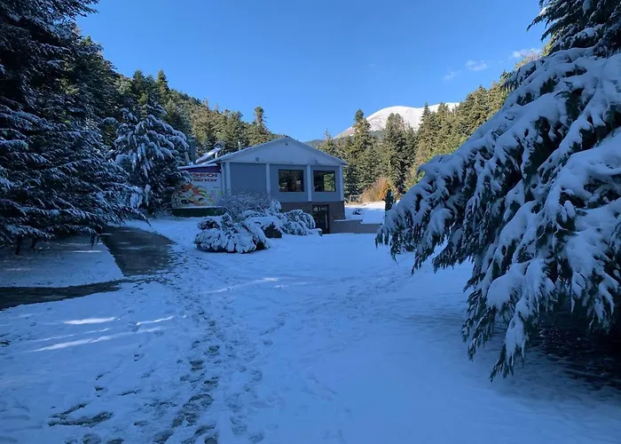 Eco Olympus With Sauna And Swimming Pool *