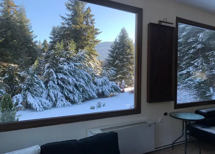 Eco Olympus With Sauna And Swimming Pool Vila *