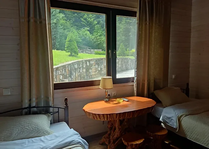 Eco Olympus With Sauna And Swimming Pool Vilă